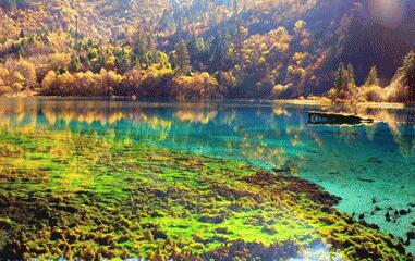 成都到九寨沟旅游团